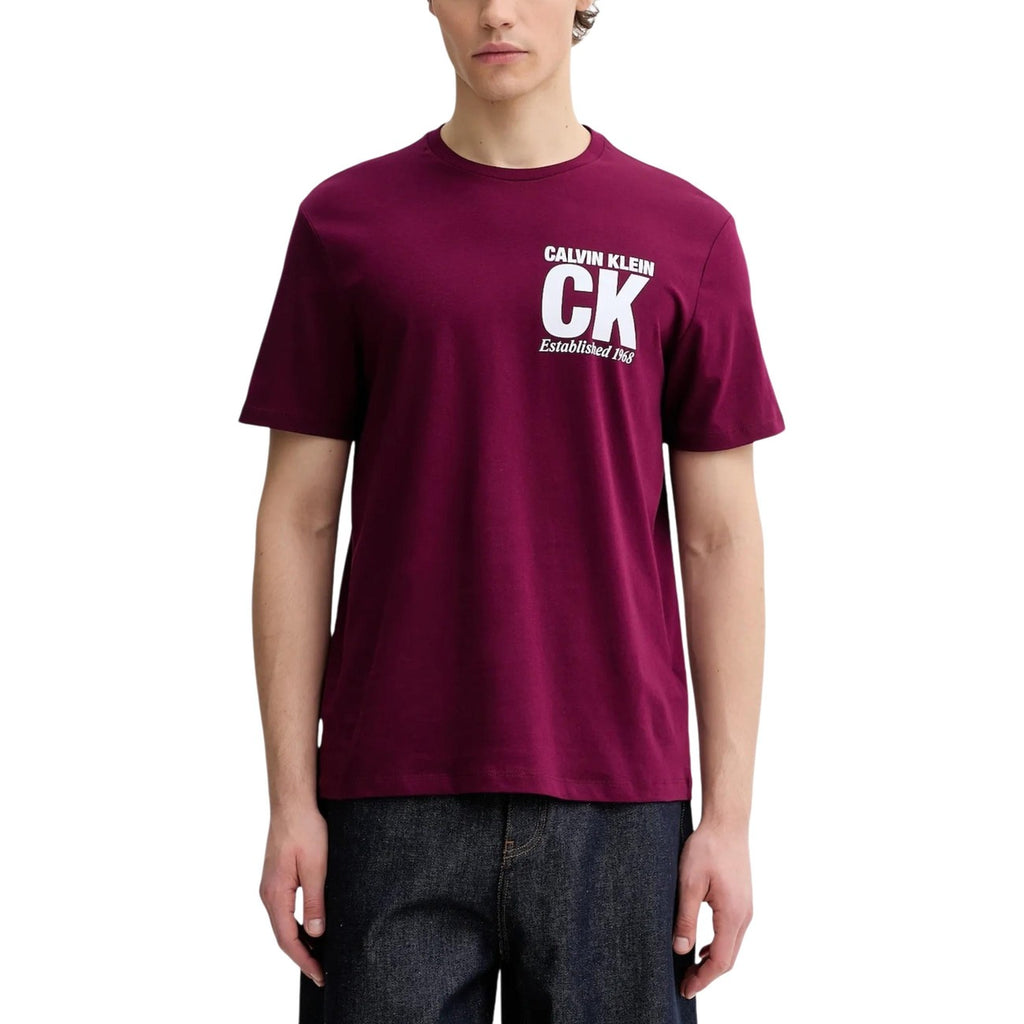 Calvin Klein Men's T-Shirt