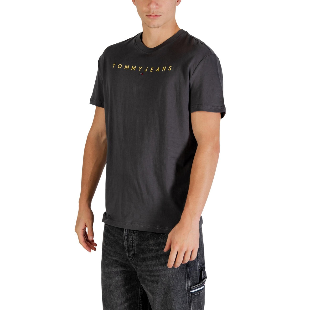 Tommy Hilfiger Men's T-Shirt