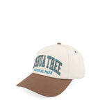 Casquette Homme American Needle