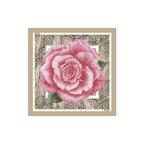 Liu Jo Women's Scarf